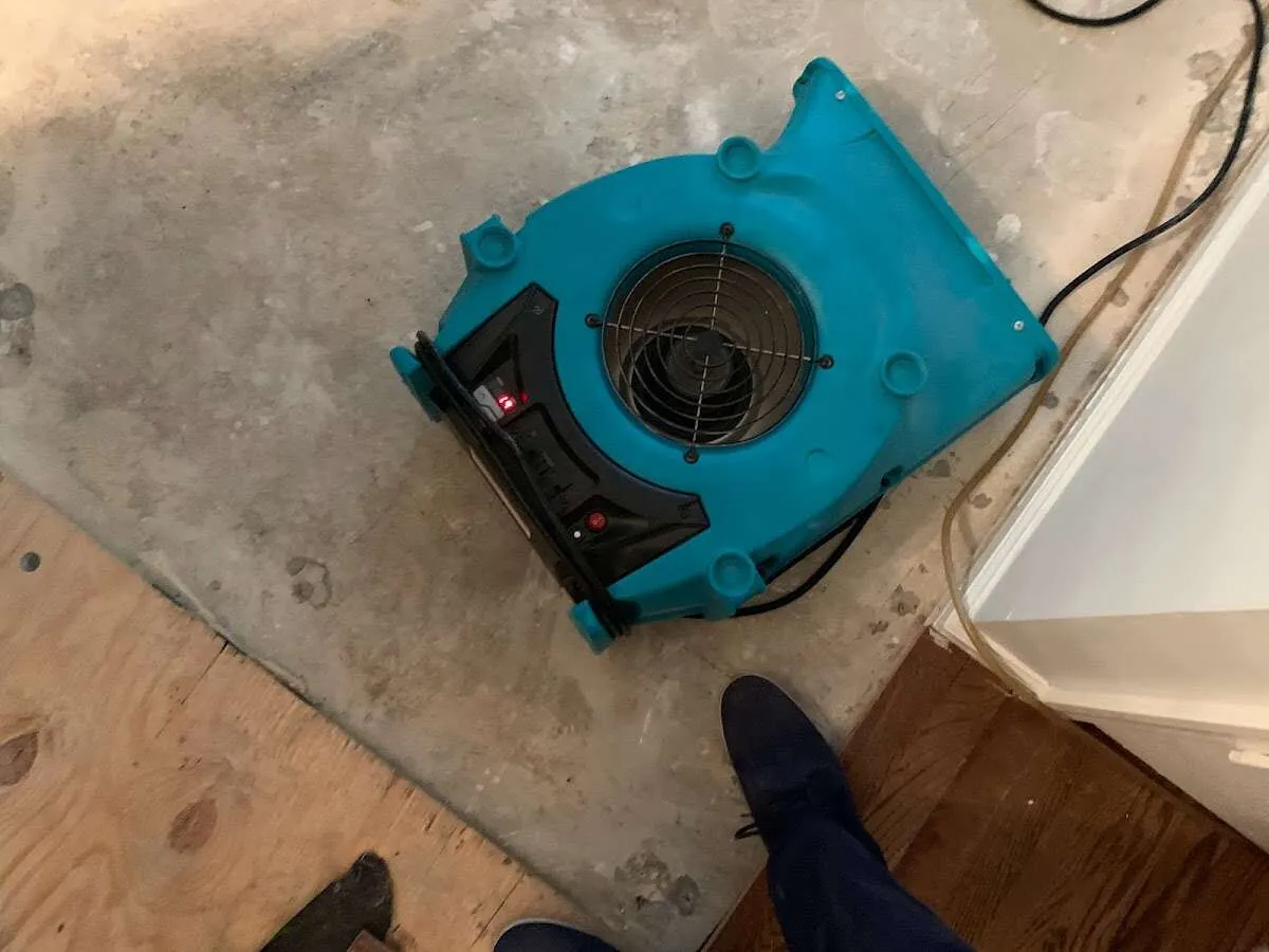 Air mover drying subfloor during Commercial Water Damage Restoration in Eureka